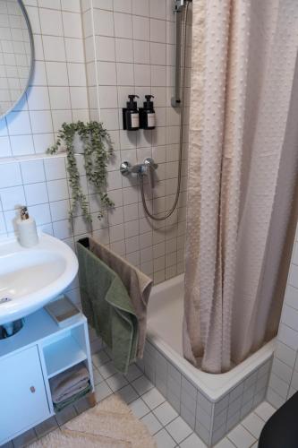 Ferienwohnung in Dresden - Elbnah - ruhig - neu - gut angebunden - WiFi - TV -kostenloses Parken, Drážďany (fotografie 9)