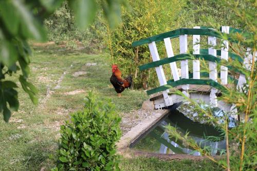 Agrotourism Galic Krka - image 3