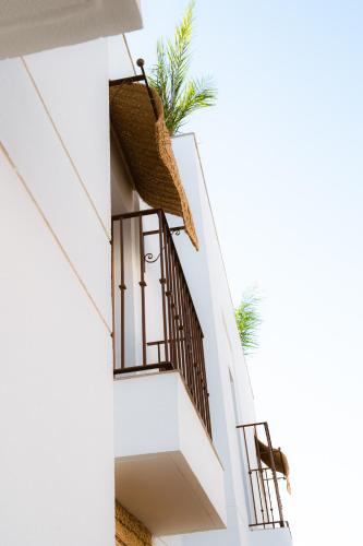 Alborada - image 6