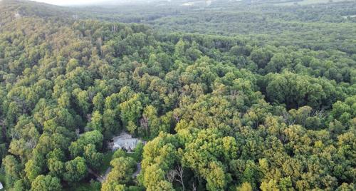 Stone Leaf Farm Private Nature Retreat with Pool, Waterfalls, Orchards & Gardens