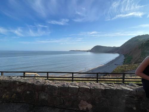 Cosy, Cute Annnex, Sidmouth (foto 7)