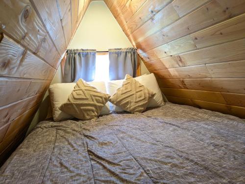 Mushroom theme cabin on 33 Acre Farm in Brew Bay, Canada
