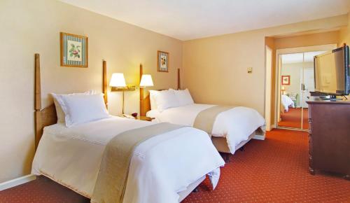 Economy Double or Twin Room - Pet Friendly