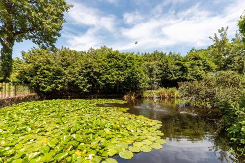 Stunning Studio Flat Minutes from Lewisham Station With View - main image