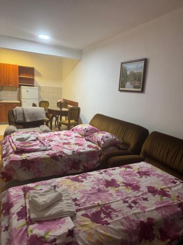 VD Apartment 2 ,only 5 min from main Bus Station, Skopje (fotografie 3)