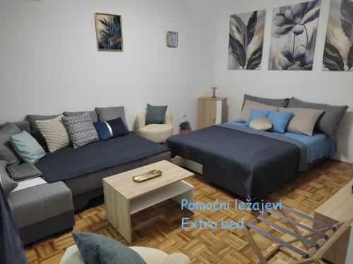 Ravena 2, Palić (fotografie 6)