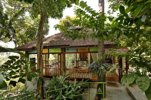 . Ambong Rainforest Retreat