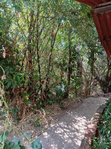 Kilátás, Shantidarshan Homestay in Amboli