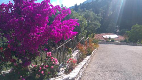 Santa Marina Hotel - image 11