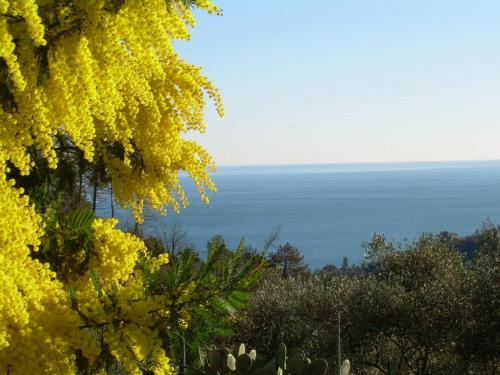 Ariabuona - Apartment - Moneglia