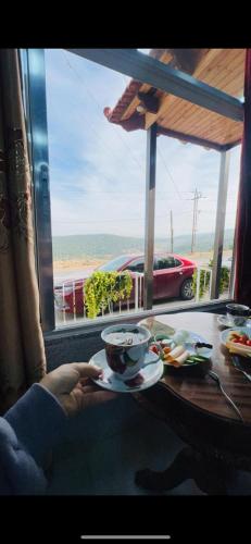 Moose house in Ajloun