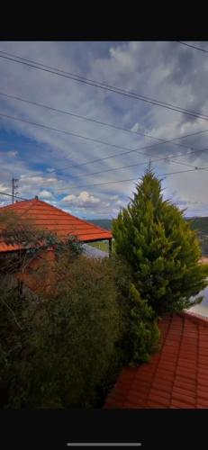 Moose house in Ajloun