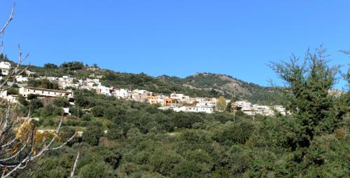 Mala Villa