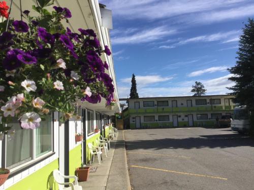 The Cedars Motel