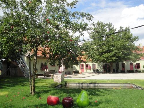 B&B De Zoete Kers in Tielt