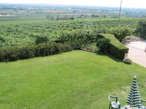 Agriturismo Le Bianchette - image 12