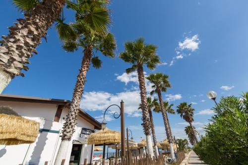 Sapore di Sale - image 7