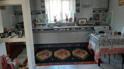 . Country house Purcari Winery!