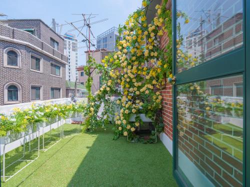 Hong stay, Seul (foto 4)
