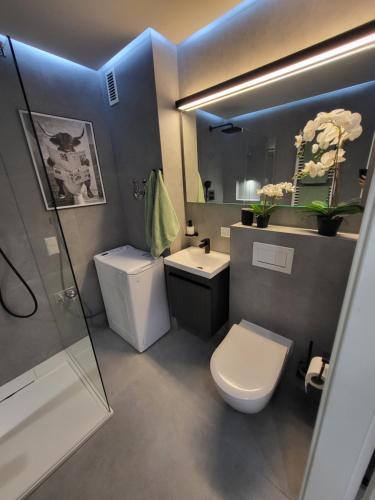 ห้องน้ำ, Appartement Christina in บาร์ซิงเฮาเซิน