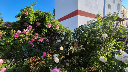 Vista Exterior, Apartament Turmalin in Wladyslawowo