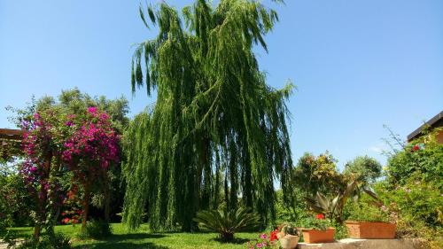 La Casa Dei Sogni chambre d'hôte Case Monterosso