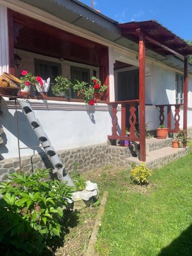 . Casa Putna