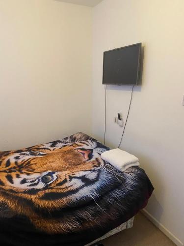 1 bedroom rentals in Birmingham, Birmingham (fotografie 8)