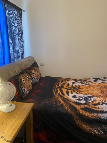 1 bedroom rentals in Birmingham, Birmingham (fotografie 9)