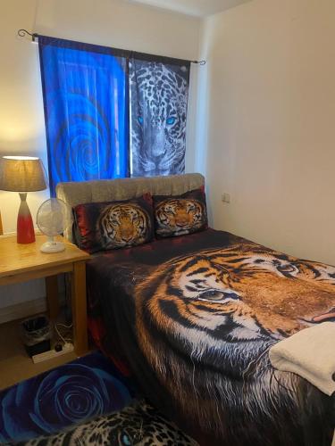 1 bedroom rentals in Birmingham, Birmingham (fotografie 10)