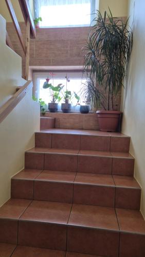 Entrada, Apartament Turmalin in Wladyslawowo