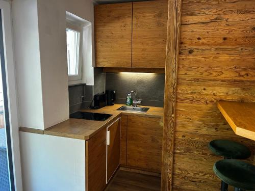 Kitz-Studio, Kitzbühel (photo 4)