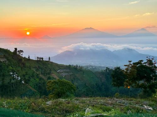 Holand style Vila Comfy for Family blue in Temanggung