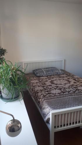 Charming double room with private bathroom, Londýn