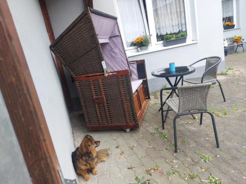 Zentrale Ferienwohnung in Bergen auf Rugen in Bergen auf Rugen