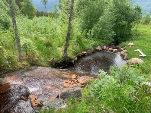 Beautiful place among forests and fields in a good old style in Eggedal