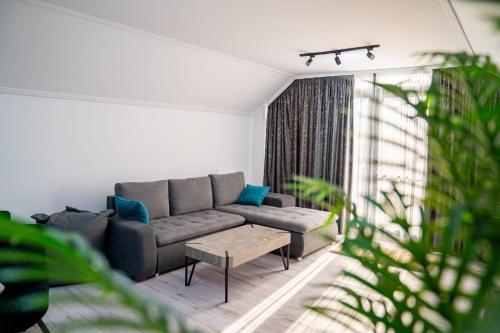 PentGarden penthouse jacuzzi in Targu Jiu