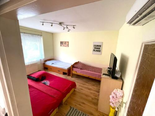 Red Locomotive Apartment, Budapešť (fotografie 5)