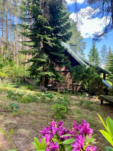 House in the forest in Podlasie