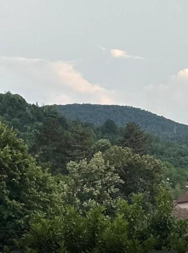 ที่เที่ยวใกล้ที่พัก, Primavera apartments Banja Koviljaca in บันยา โควิลยาซา