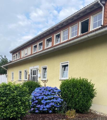 Ferienwohnung Waldblick in Scheidt, Deutschland