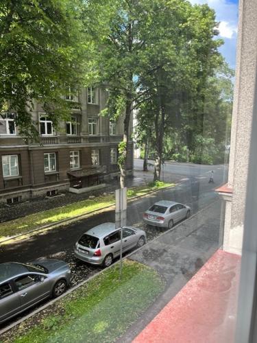 Cozy apartment next to old town, Tallin (foto 3)