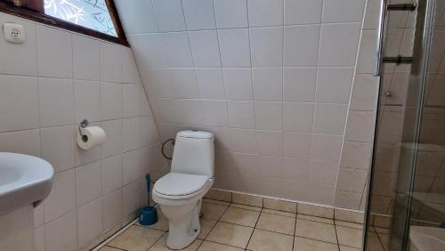 Domki pod lasem blisko morza