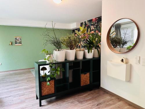Paradiesvogel - Zentral gelegenes Apartment in Paderborn Zentrum in Paderborn, Deutschland