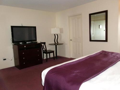 King Suite with Spa Bath image 8