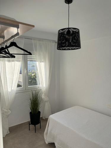 centro, playa 3 habitaciones 4 personas in El Diezmo