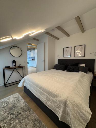 One-Bedroom Apartment image 10