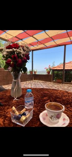 Moose house in Ajloun