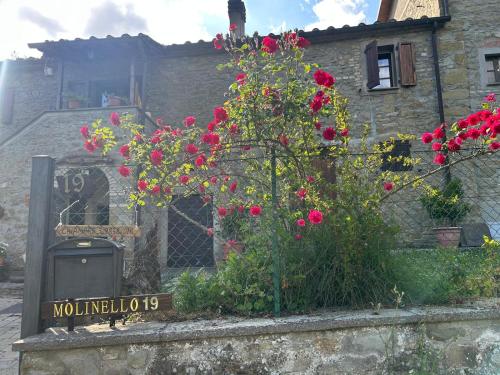 Dārzs, Casetta Girasole - Monterchi in Monterchi