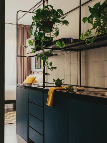 Brassbell l DT l Hannaux l Tahrir sq in 카이로